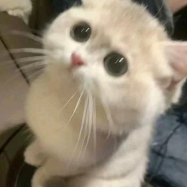 冷暖自知