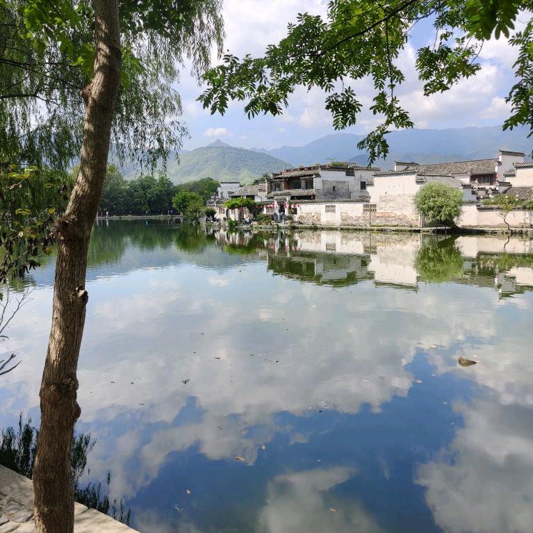 失去方向的小伙汁