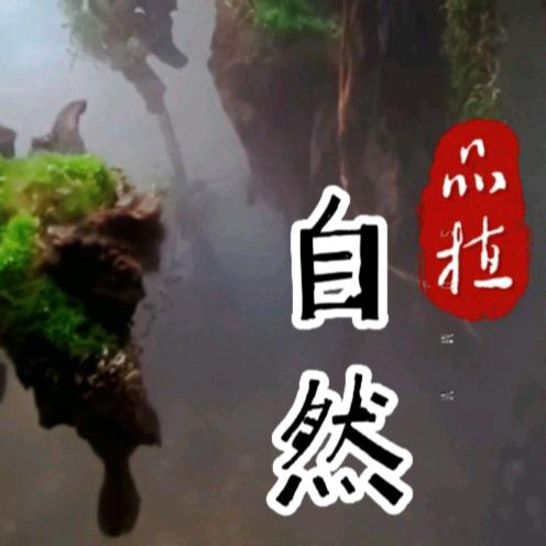 品植自然造景工作室