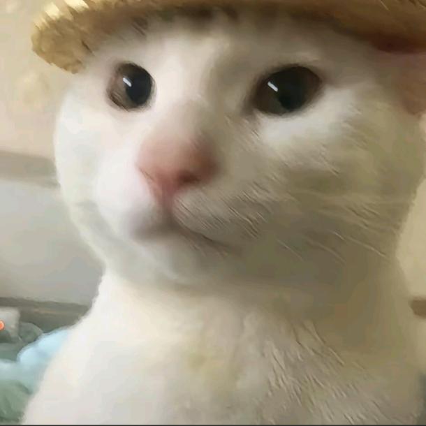 Keats🌽·•᷄ࡇ•᷅·