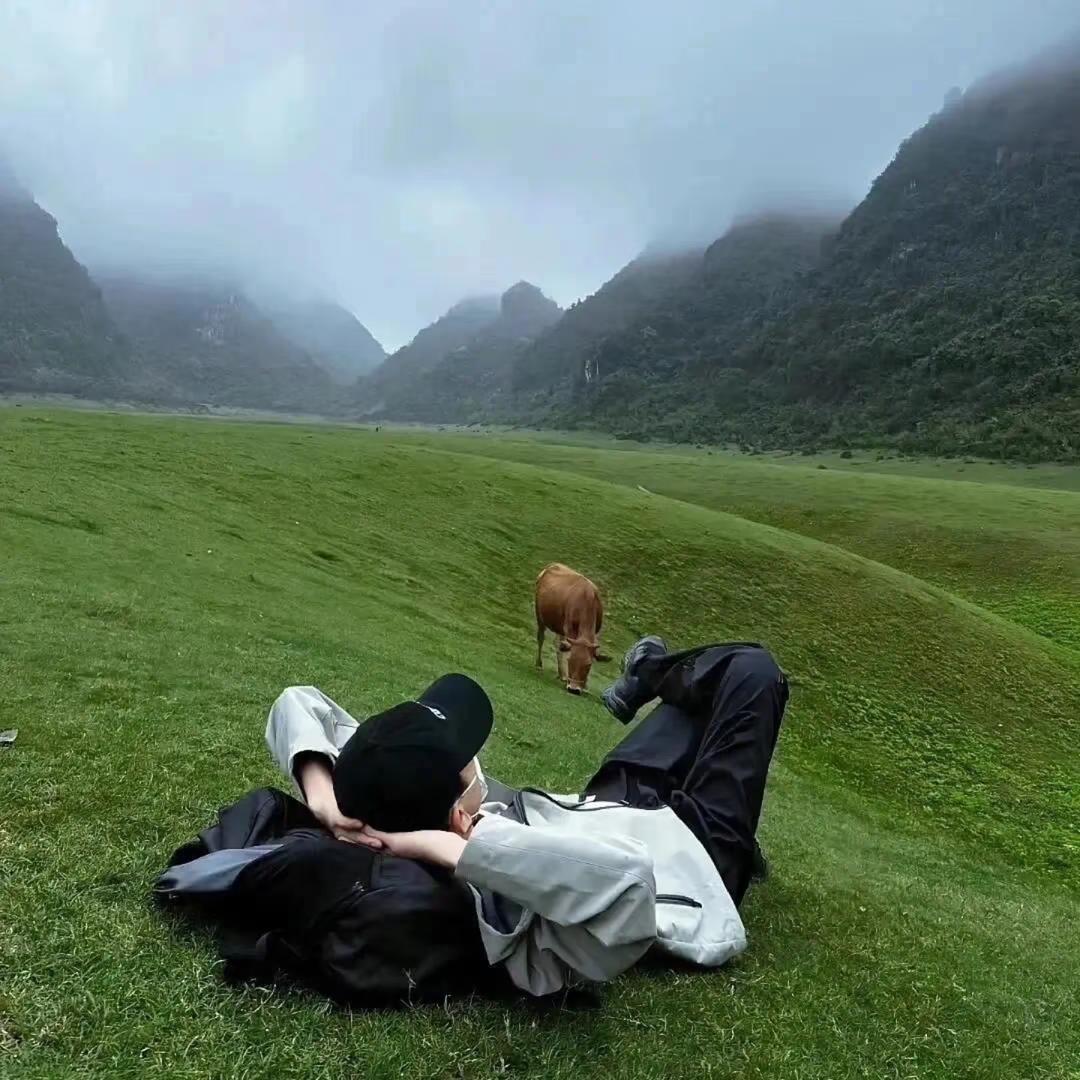 焱观