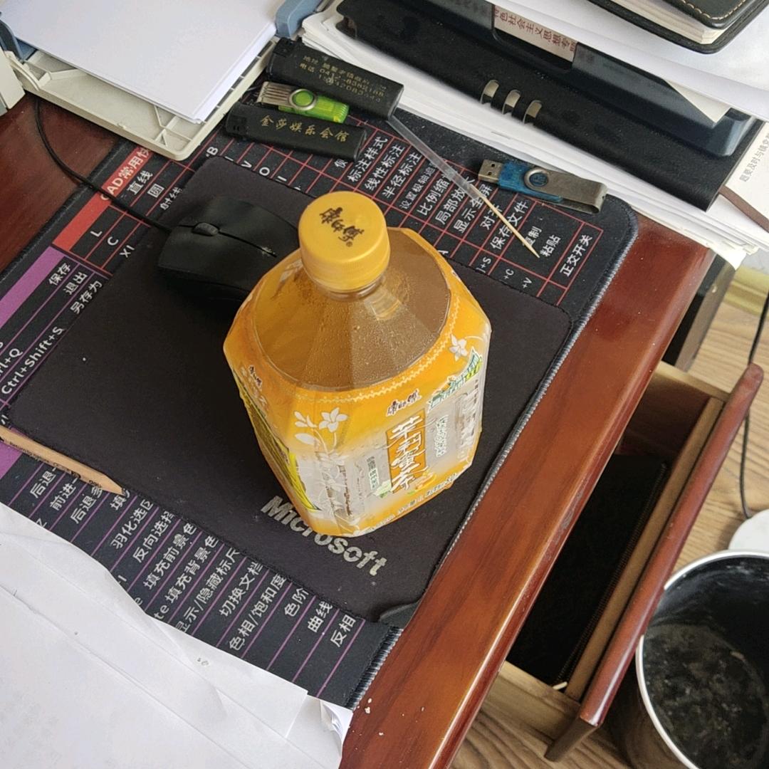 青冰归心