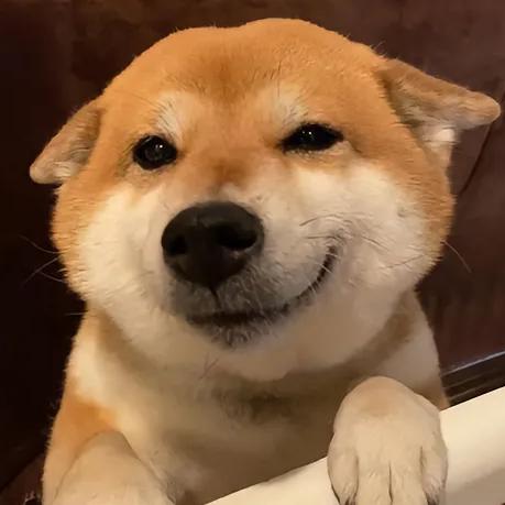 套团