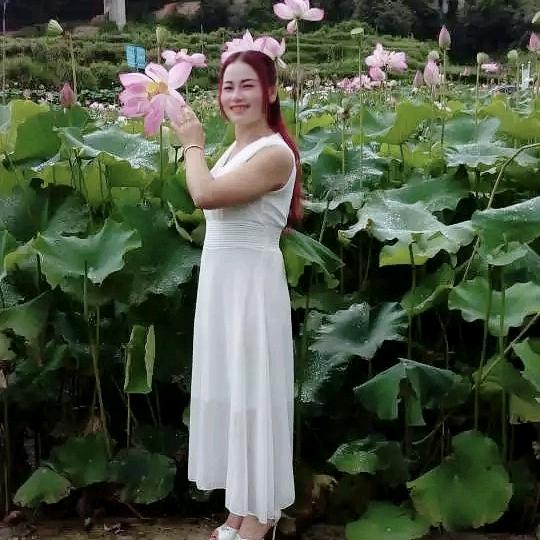 @李家大小姐