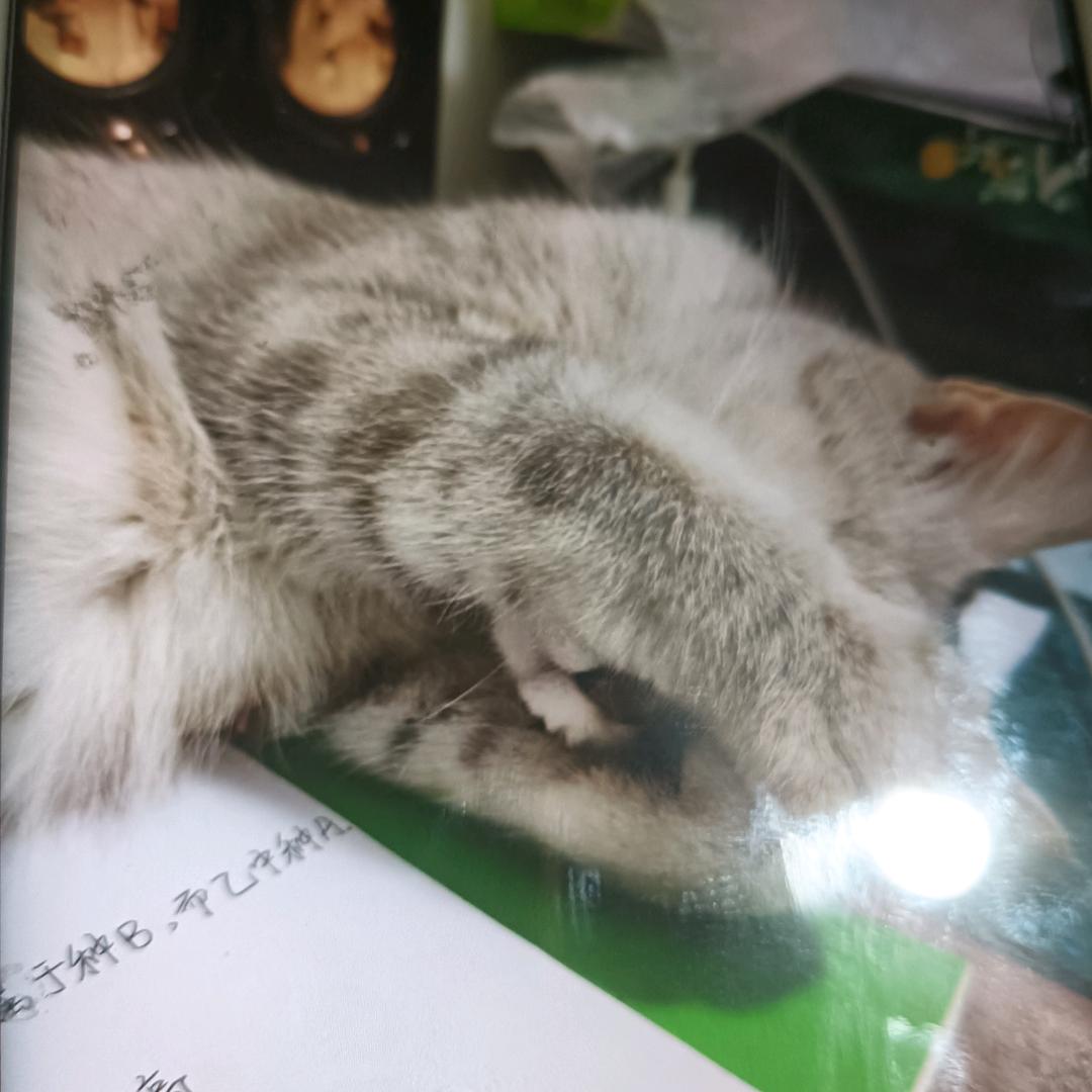 杨建鹏Vs小宝贝