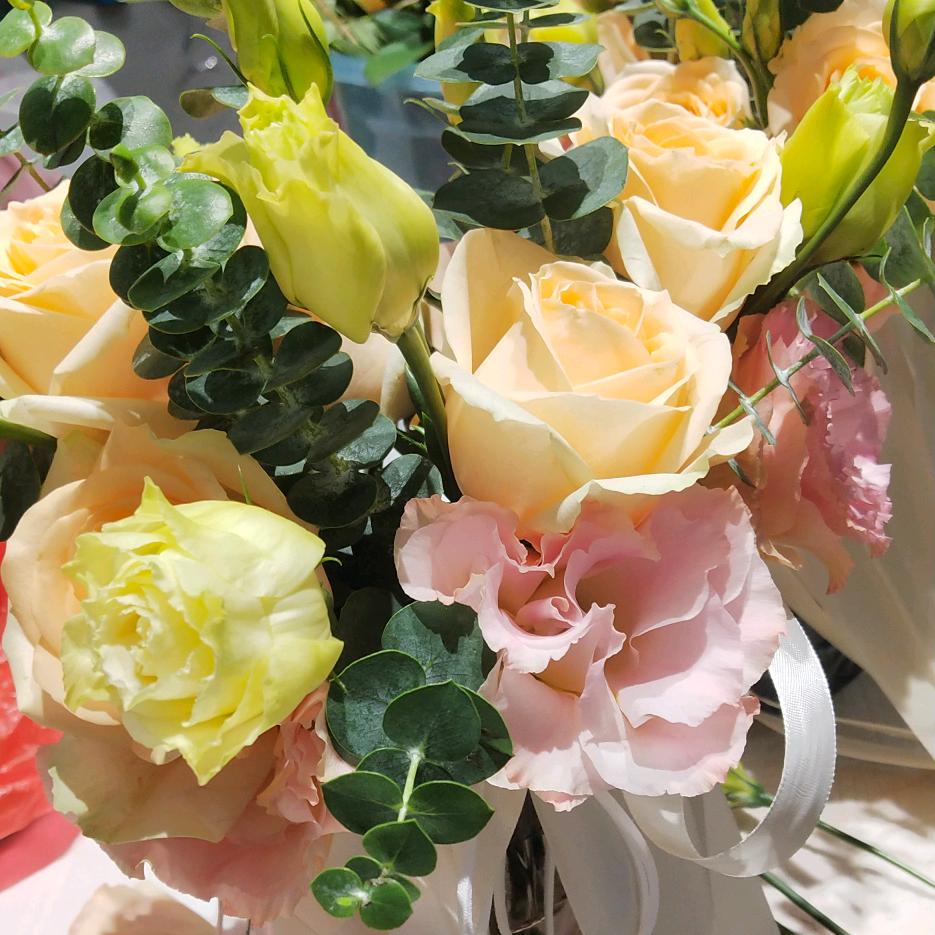 🍹韦🍁来🌾可╭❤～期💰💎