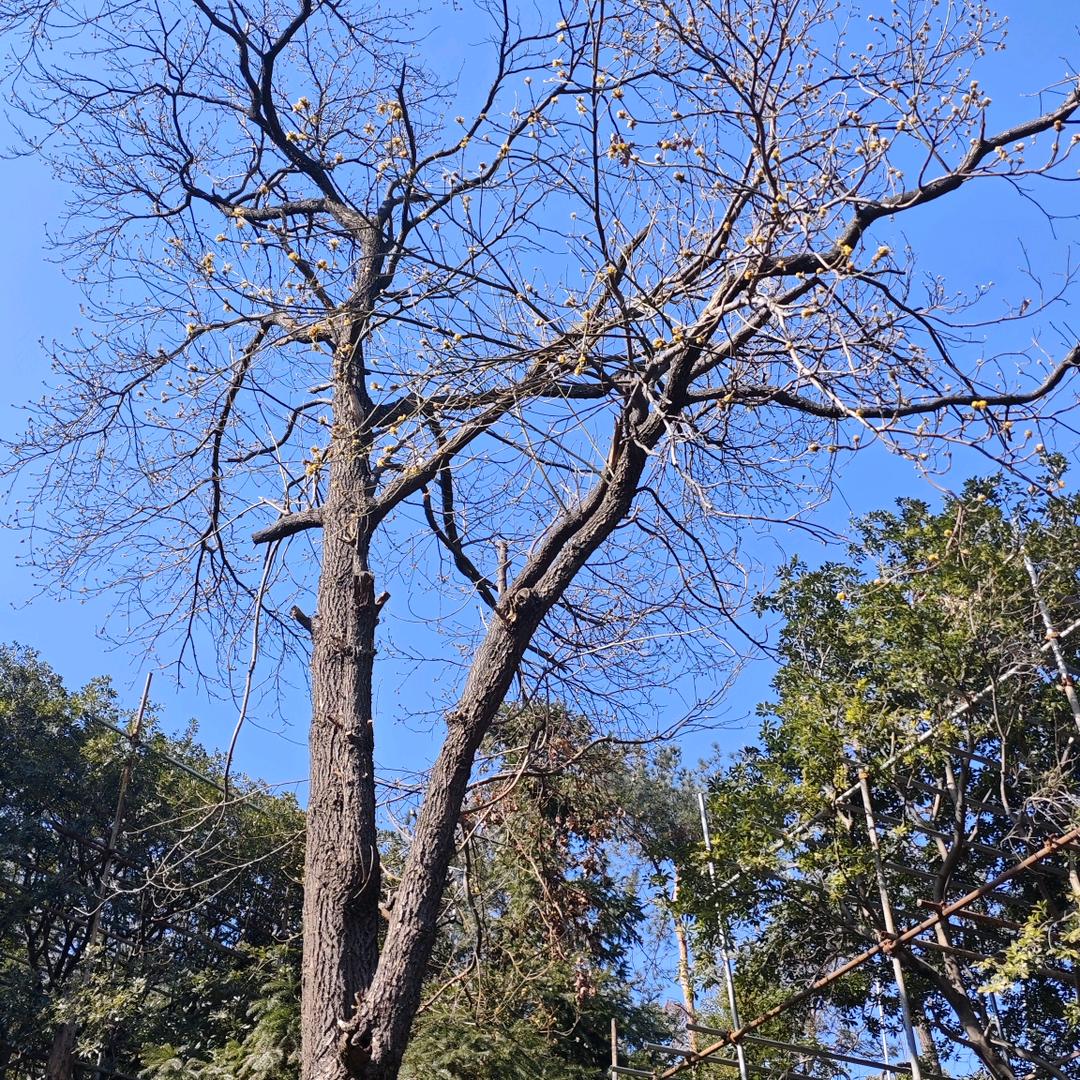 那娜姐