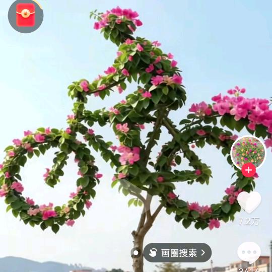 正在输入中