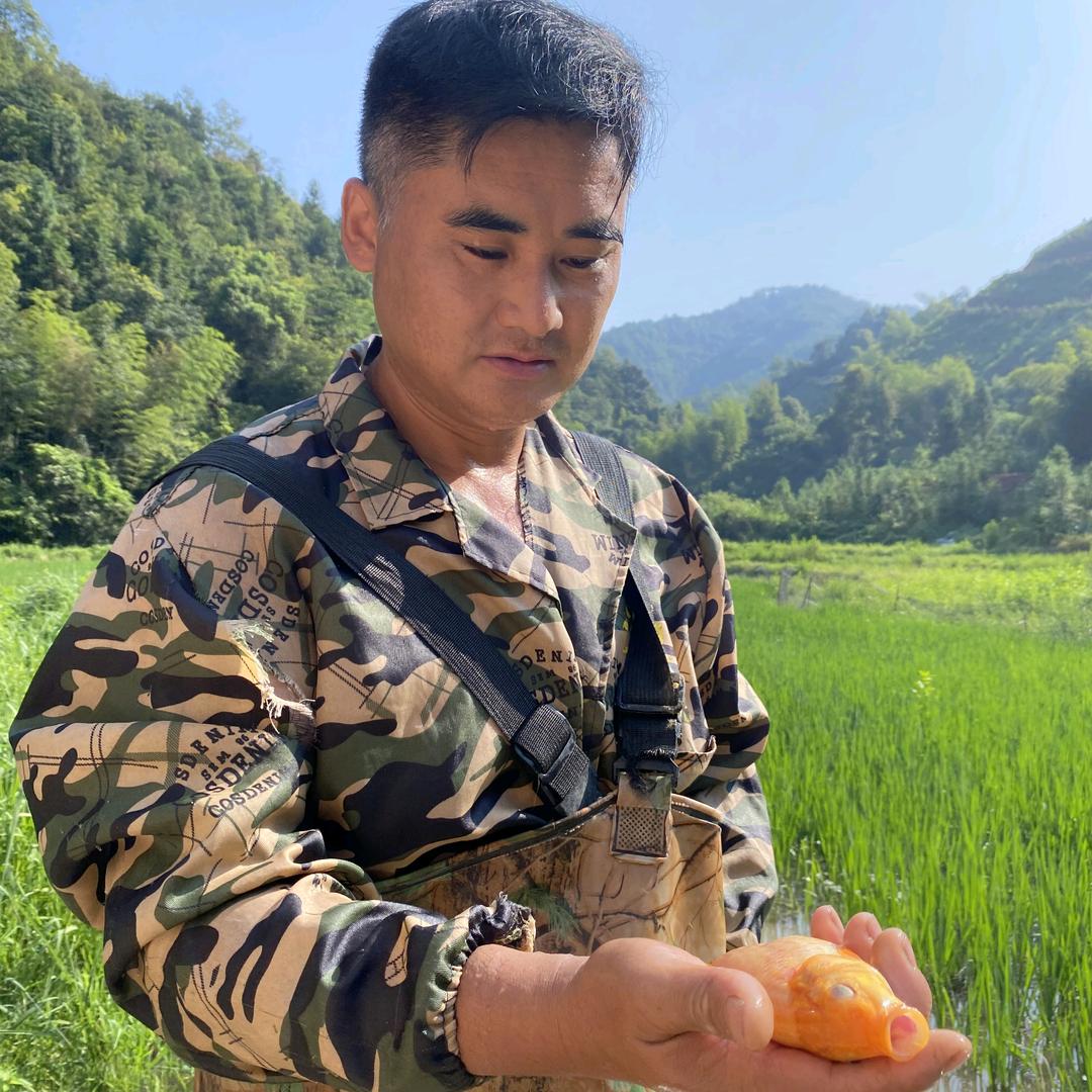 朱老板的（田园生活）