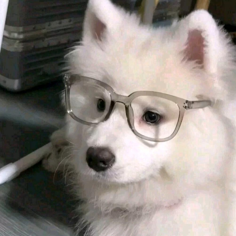 不秃头,