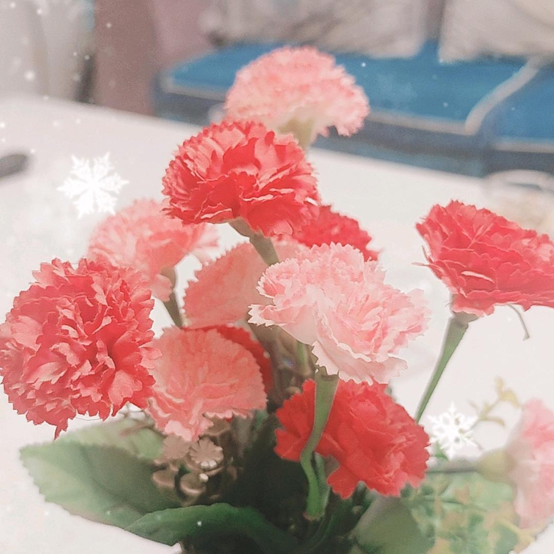 ฅฅ一生平安ฅฅ