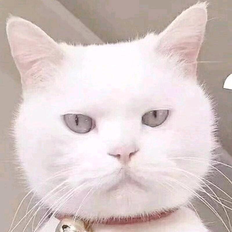 与爱同行鸿运相伴