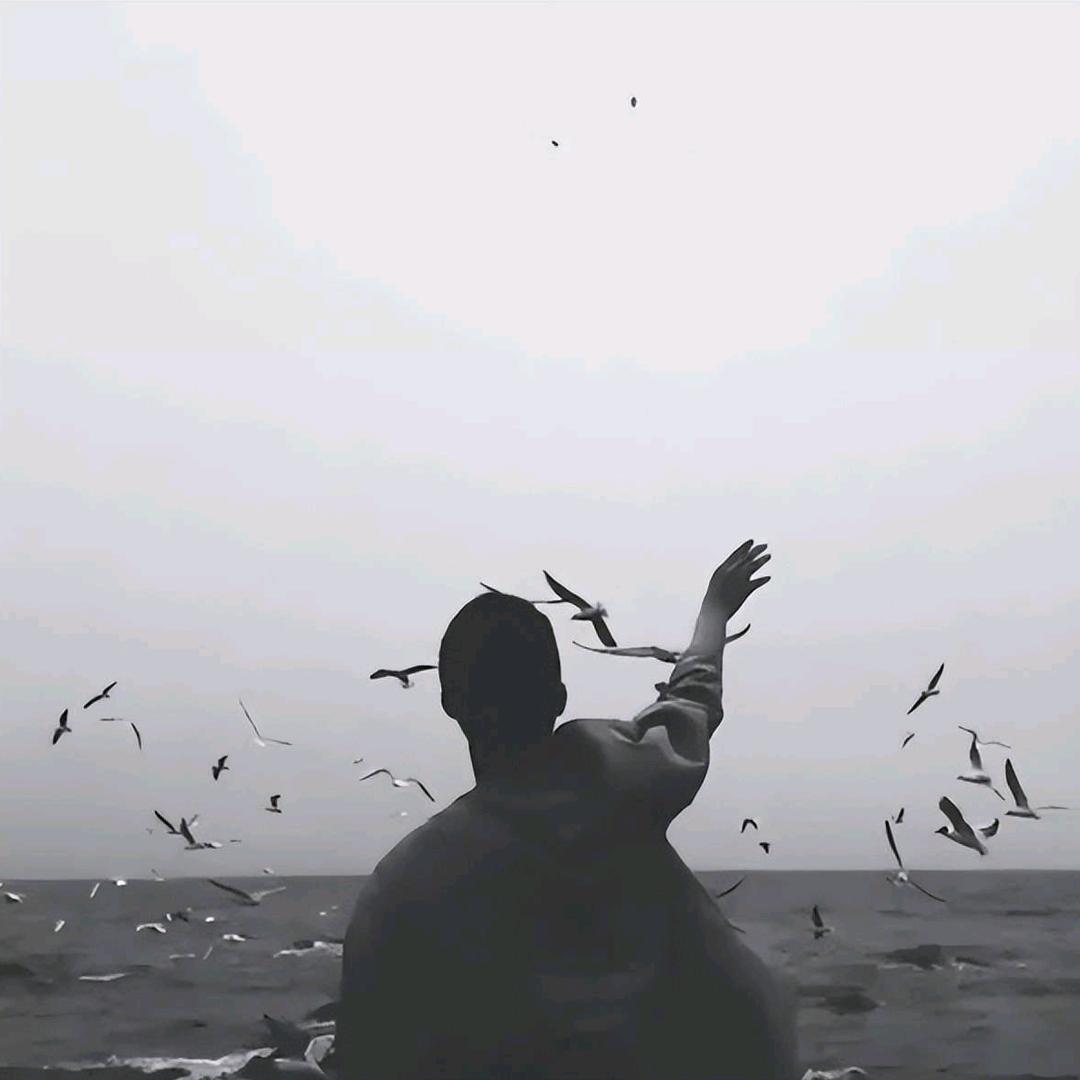 我爱看剧短