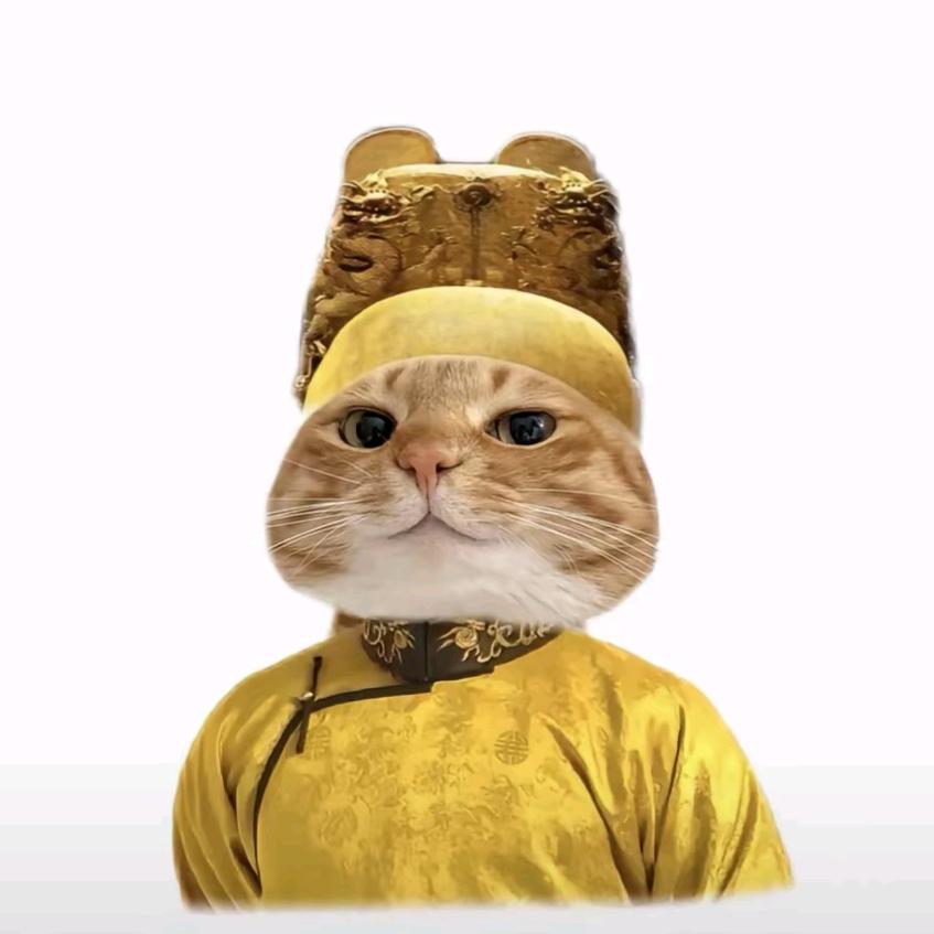 ໒꒰ྀི ´ ꒳ ` ྀི꒱১