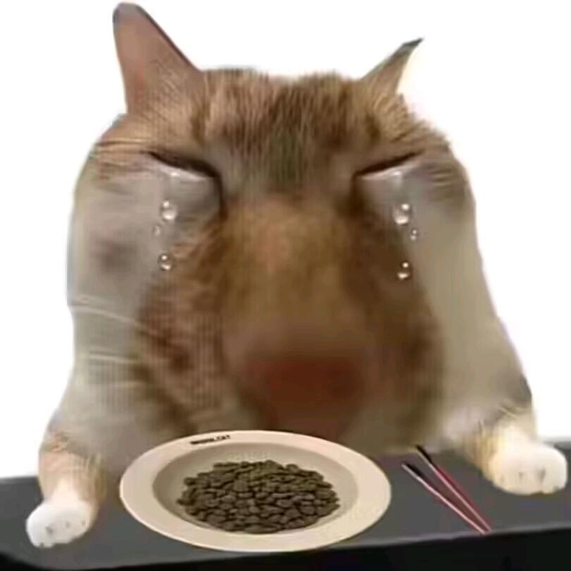 中国天眼科普中心  辣条