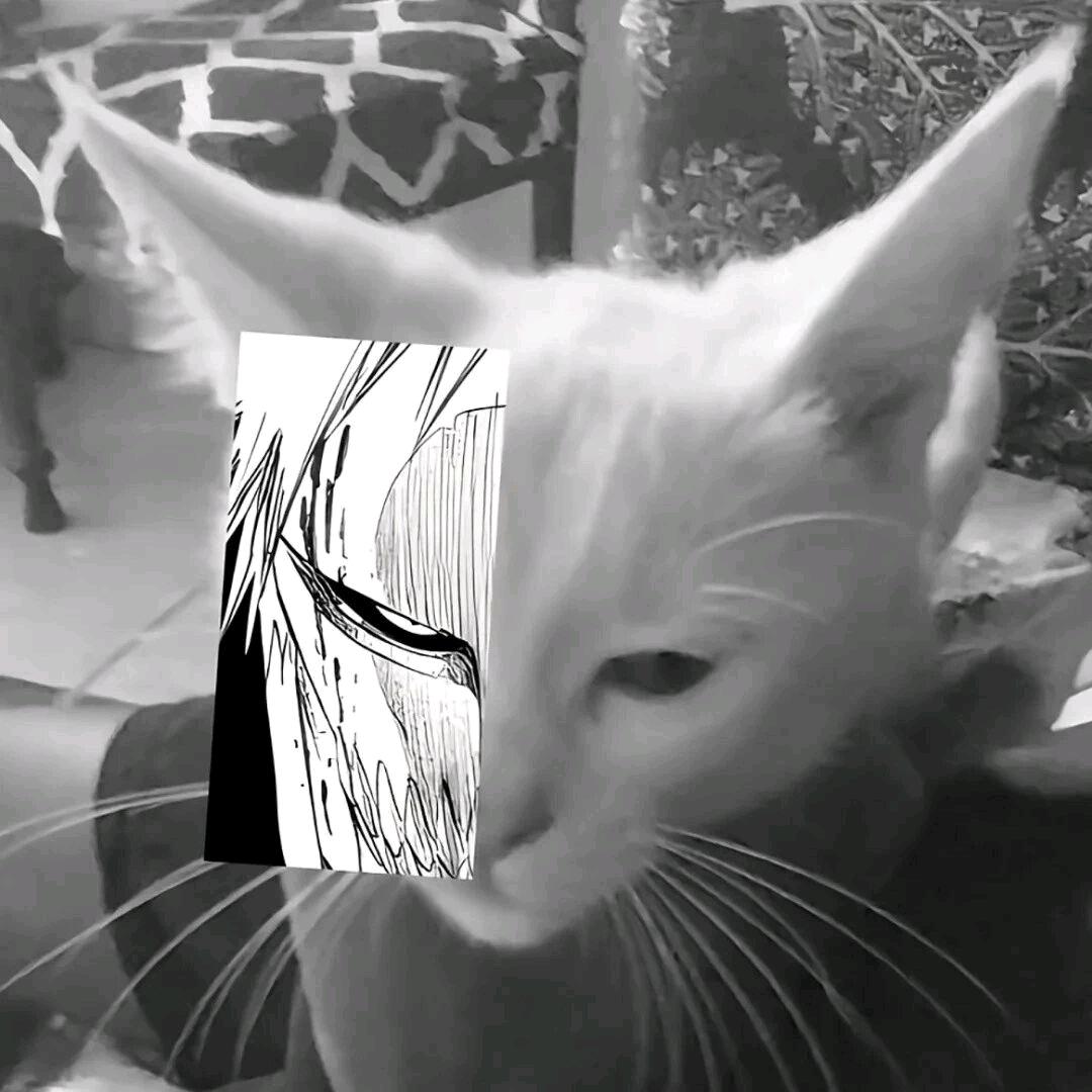 独白