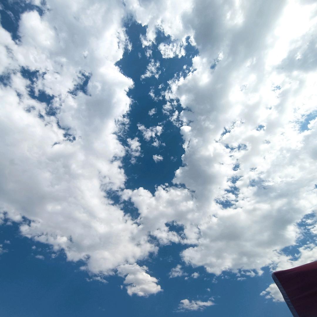 小马哥调料批发，代理各种品牌调味品。