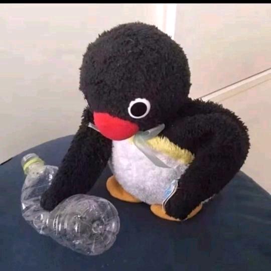 捡瓶养你