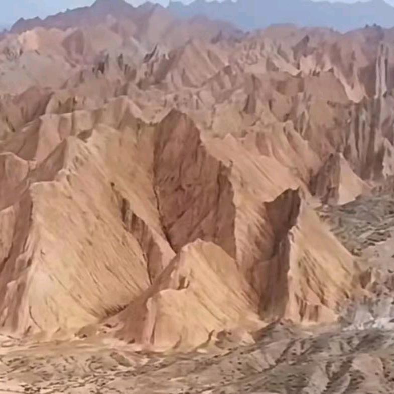 二东