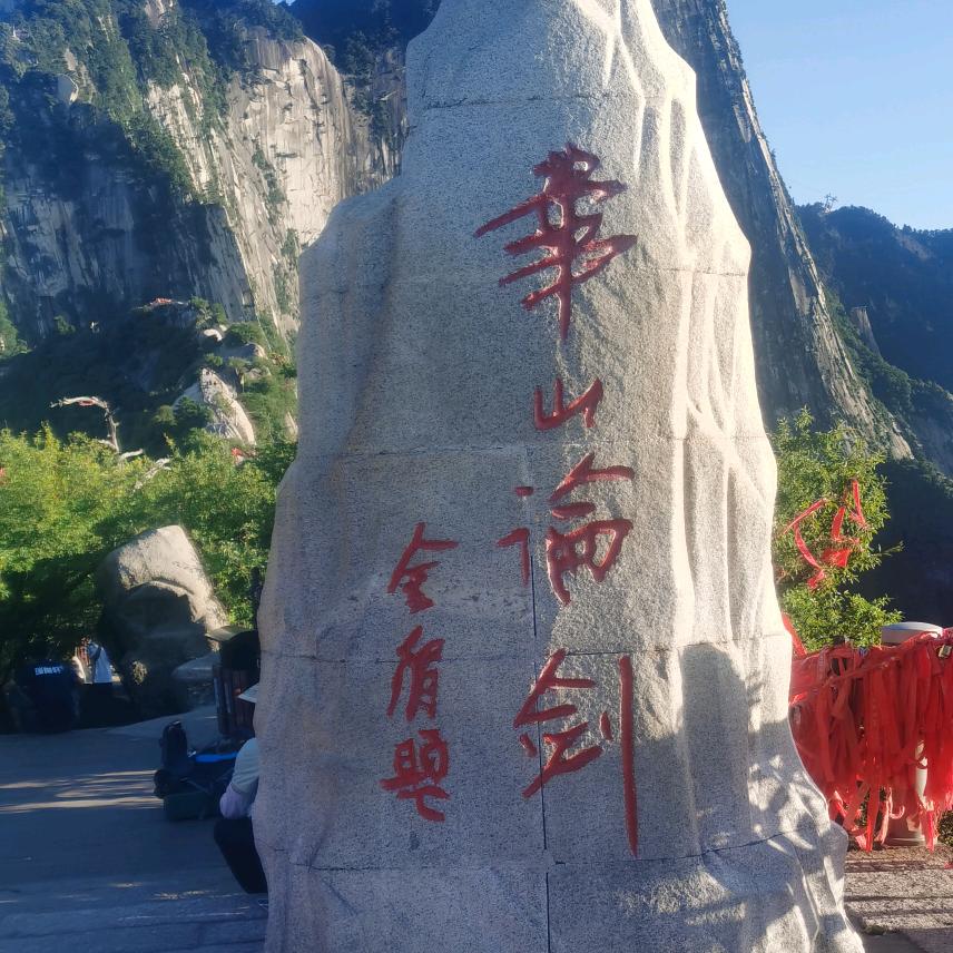 顺势有为