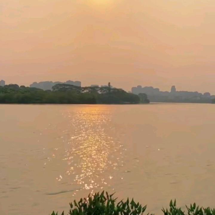 思故渊www.念池鱼