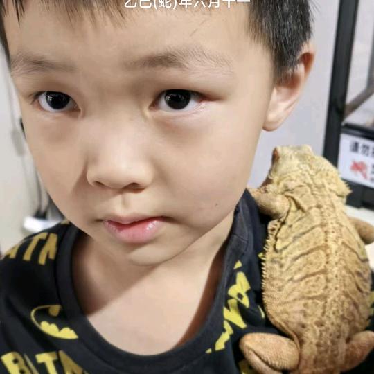 袁圣轩