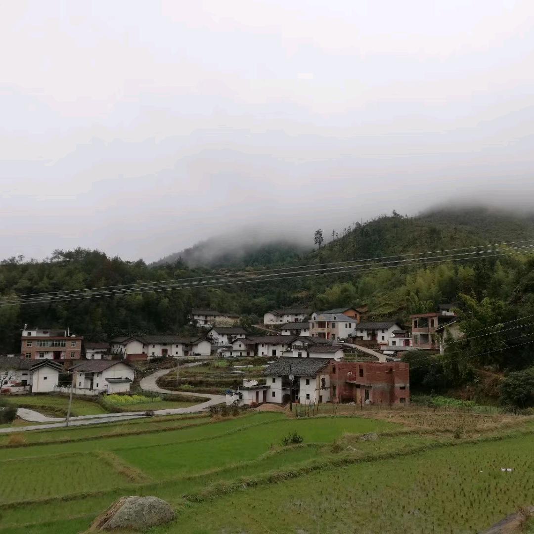 撬条嫂特产优选