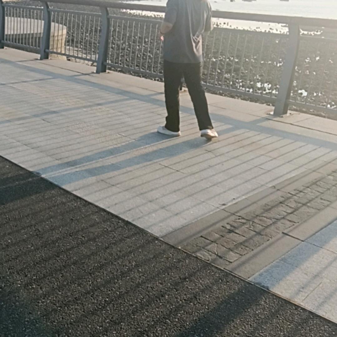 心若向阳何惧忧伤