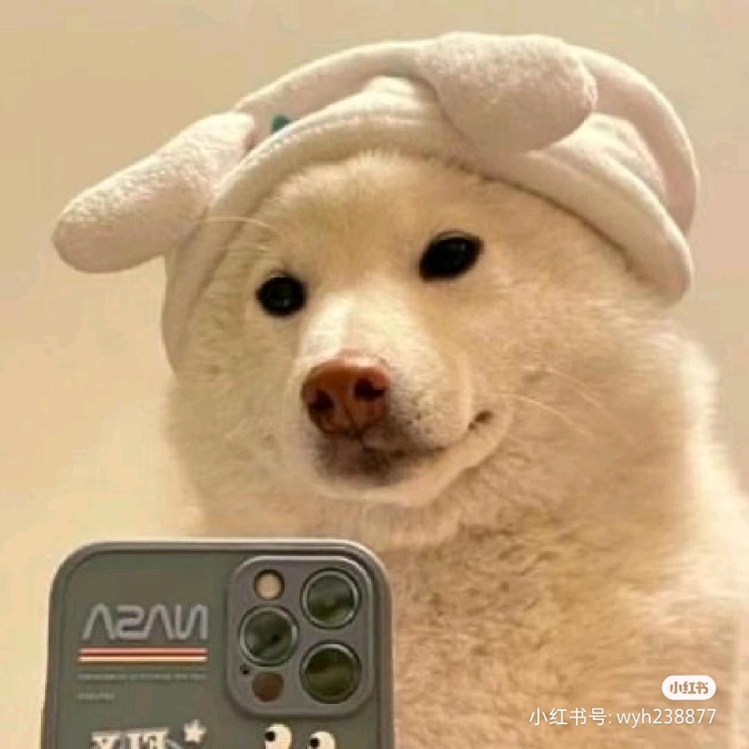 西忧