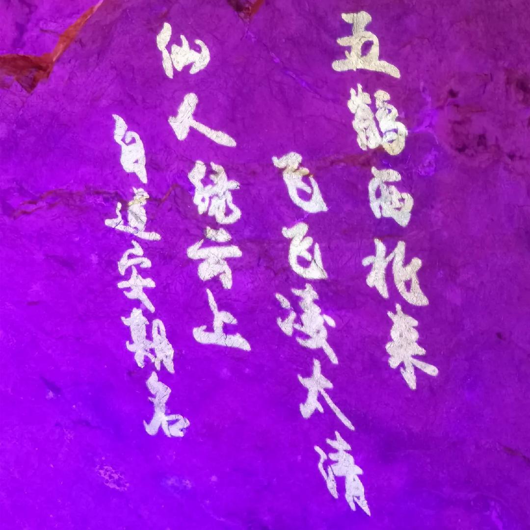 开心的西红柿炒鸡蛋
