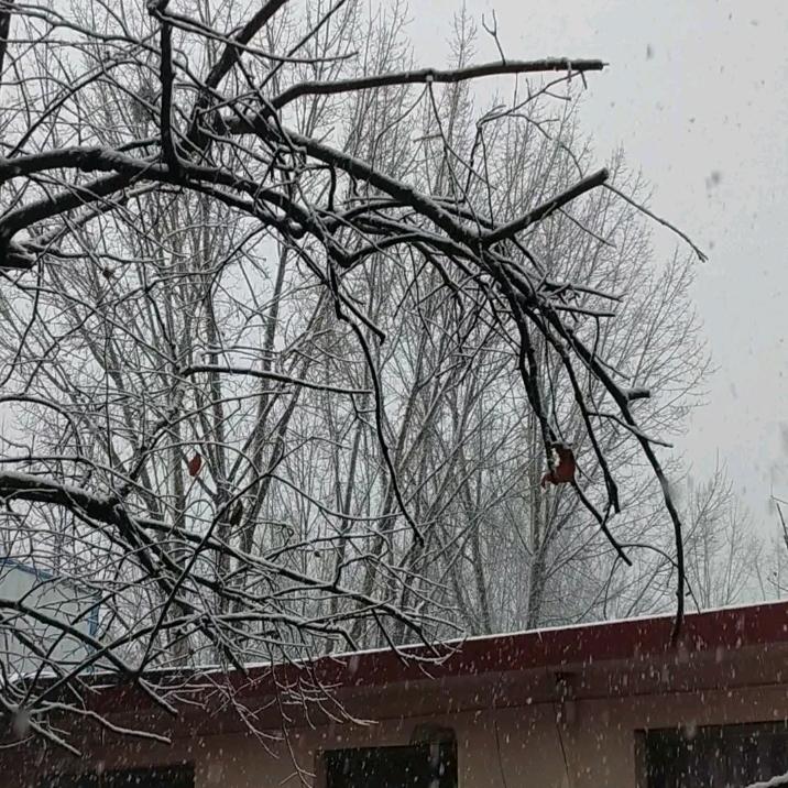 😃勇～敢～者😃