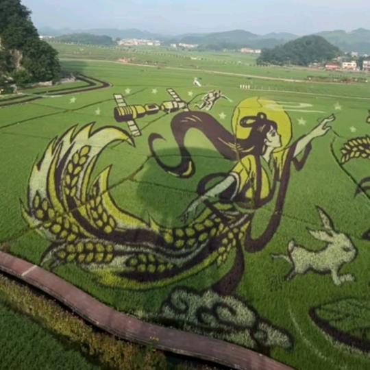 老七叔