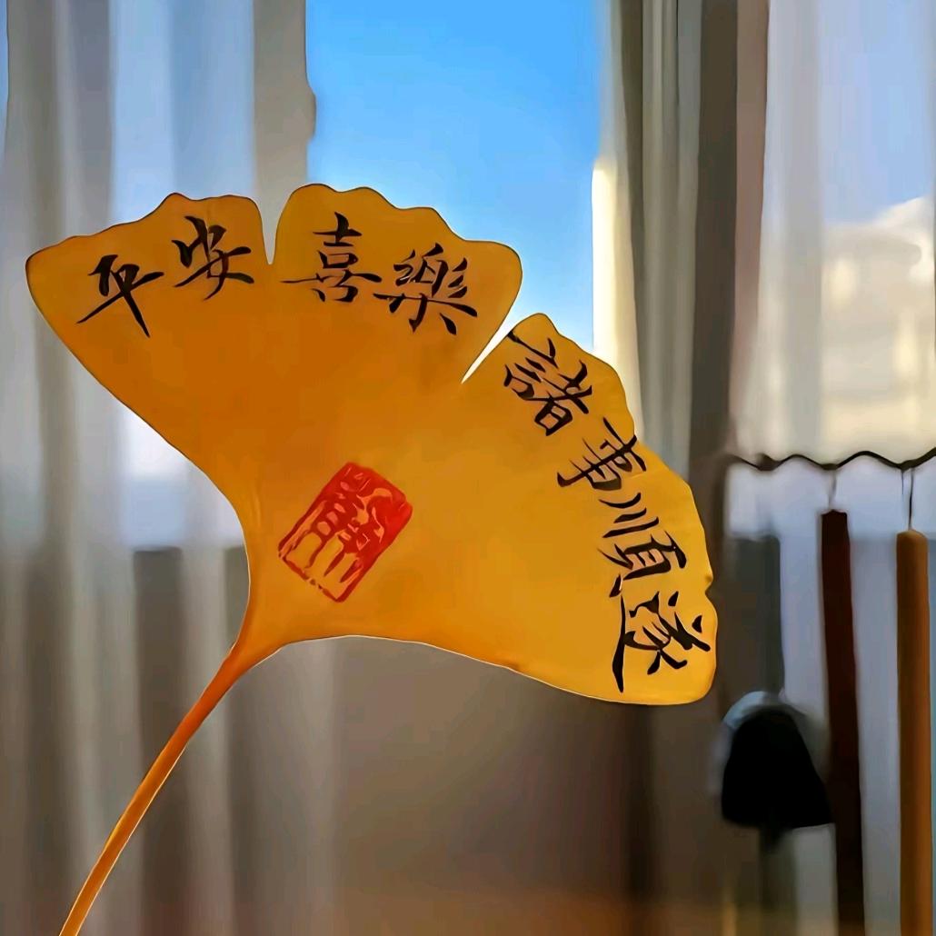 丽丽好物甄选