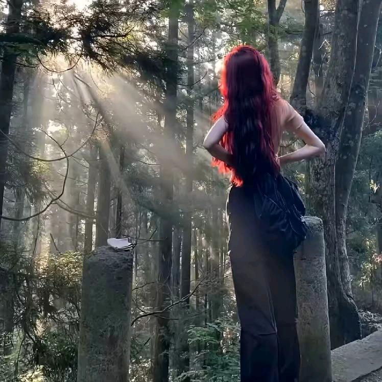 满天星💭