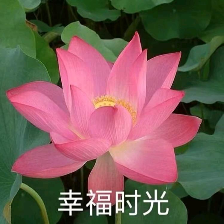 珍惜时光