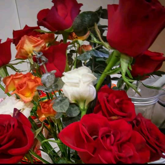 帅气的可心宝宝（念一家小场控）