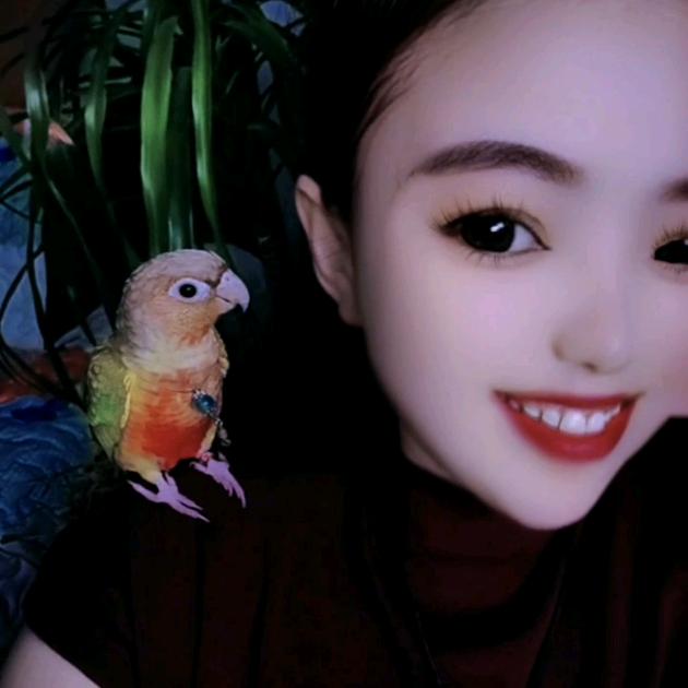 好运连连到