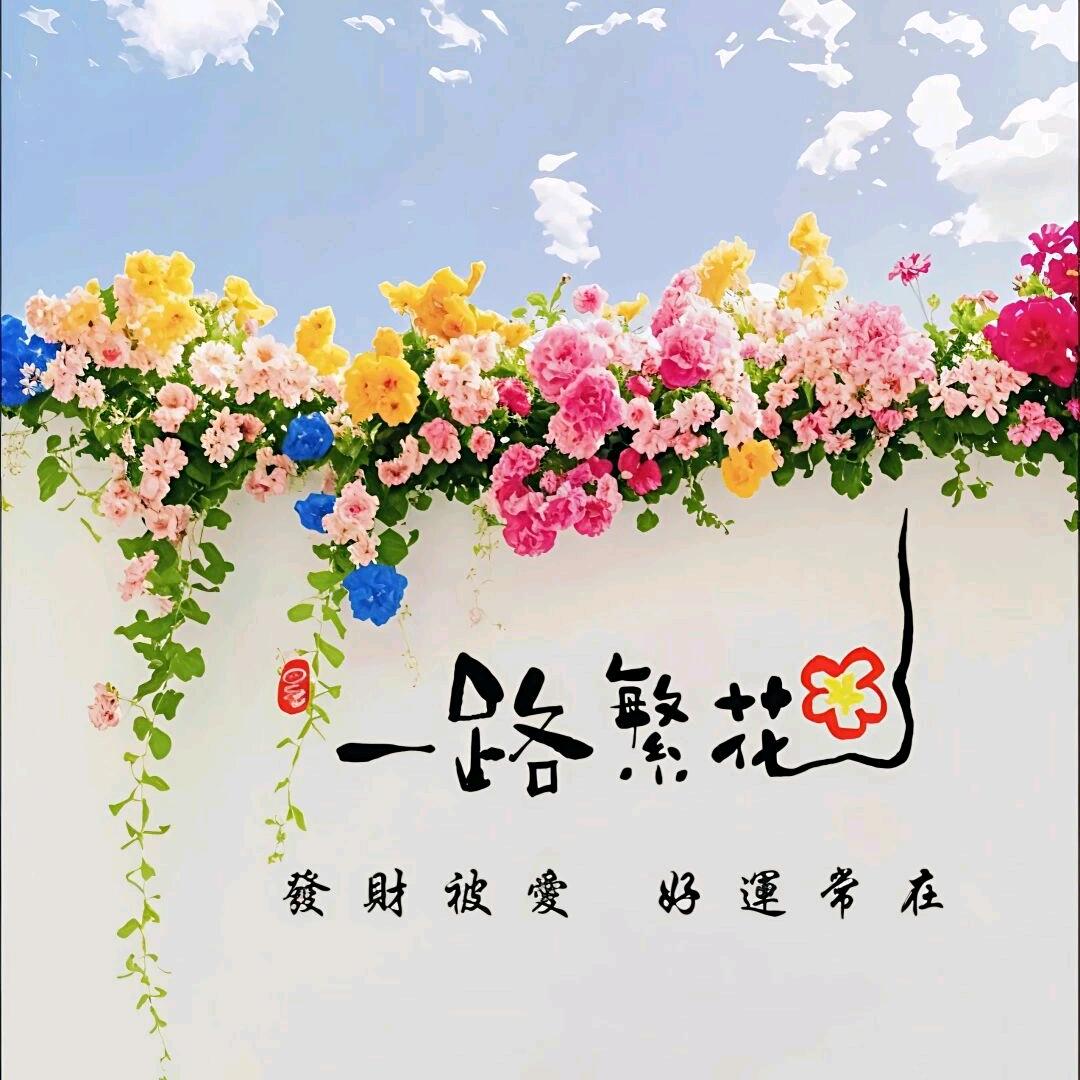 理性↘小女人