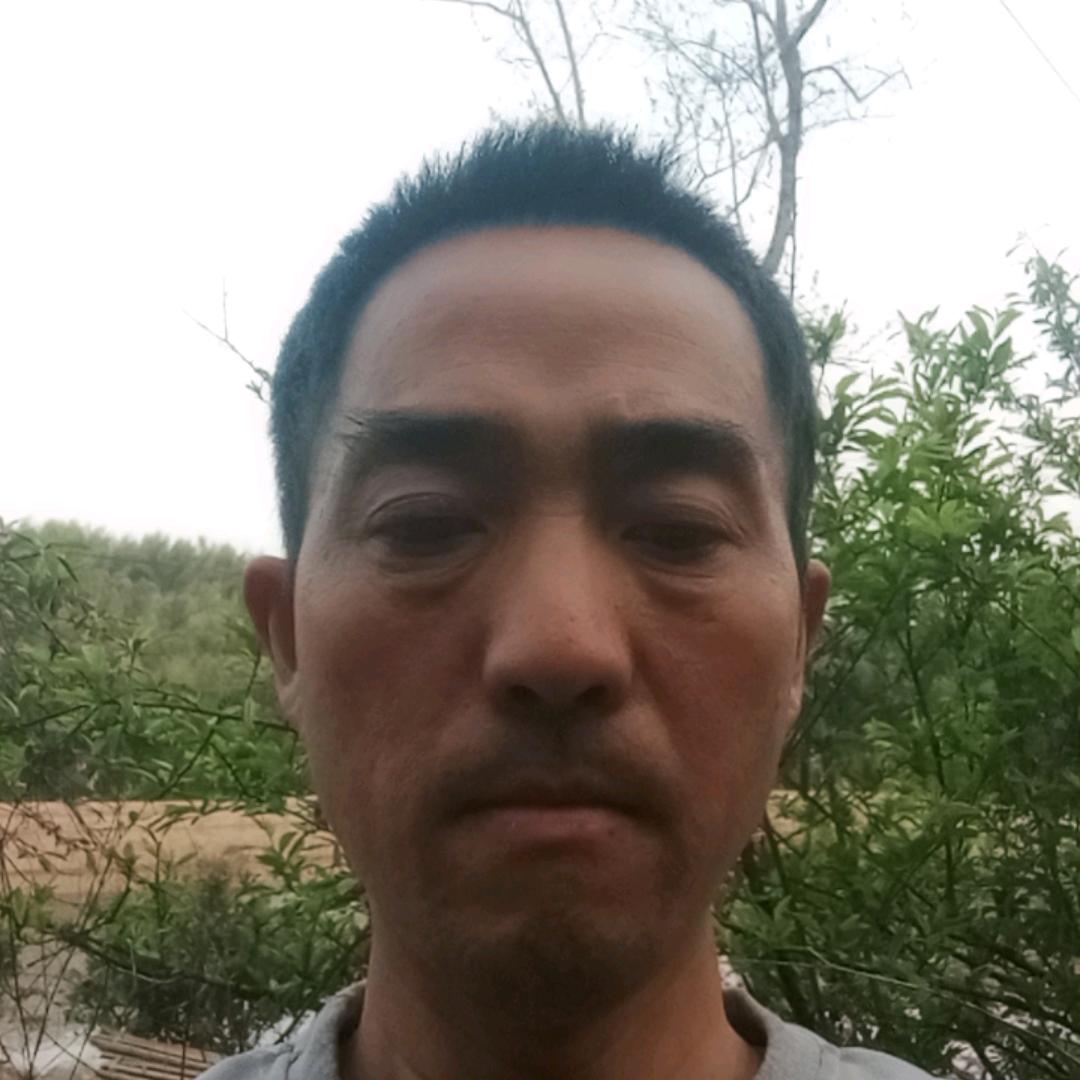 清泉石上留(单身)