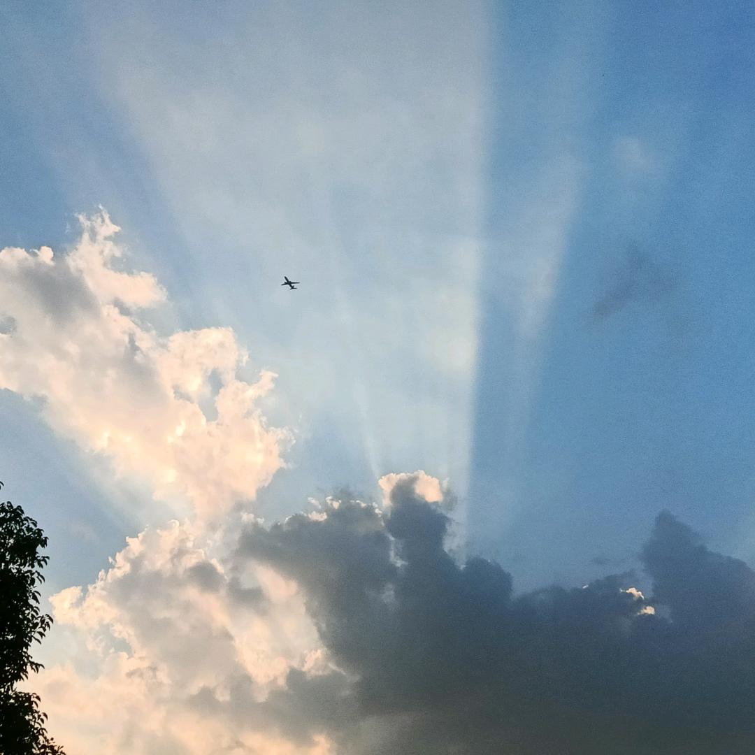 ╔囧╗夏╔囧╝渴╚囧╝期╚囧╗