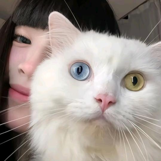 睡好觉不简单