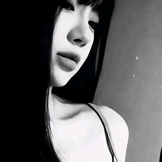 ㅤ ㅤㅤㅤ