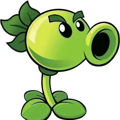 🟢🟢 🟢🟢 🟢