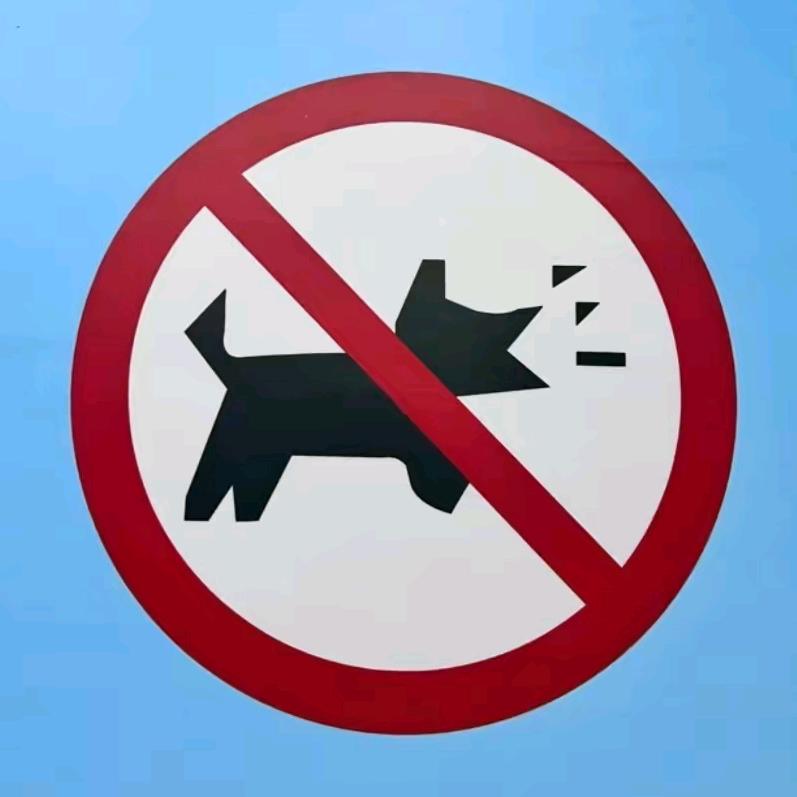不是孙哥
