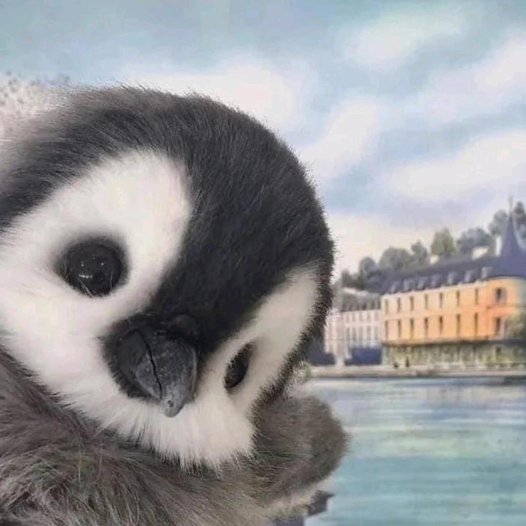 漫漫剪