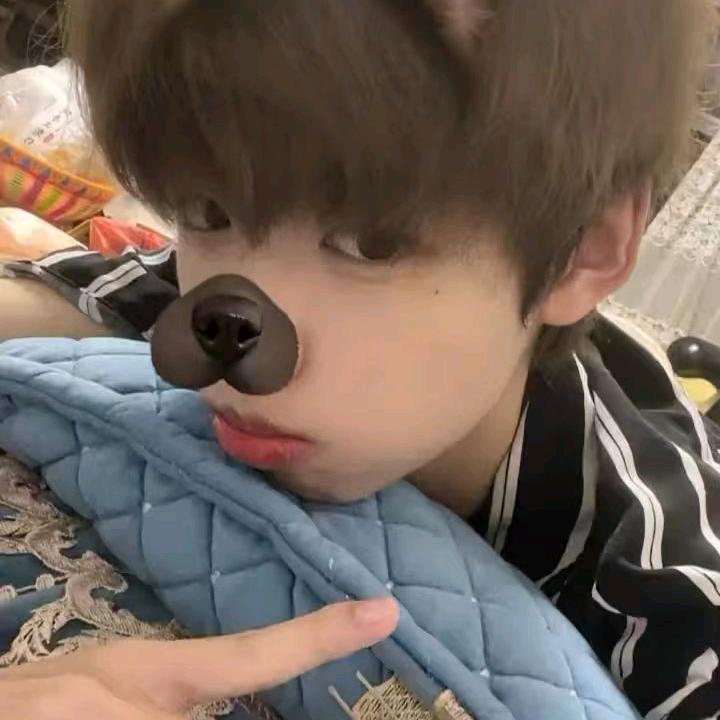 小宝宝