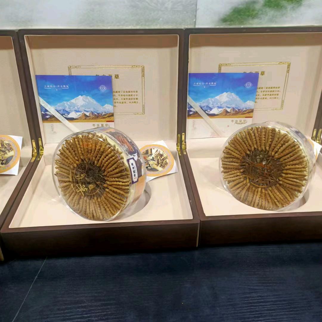 糊涂小洛