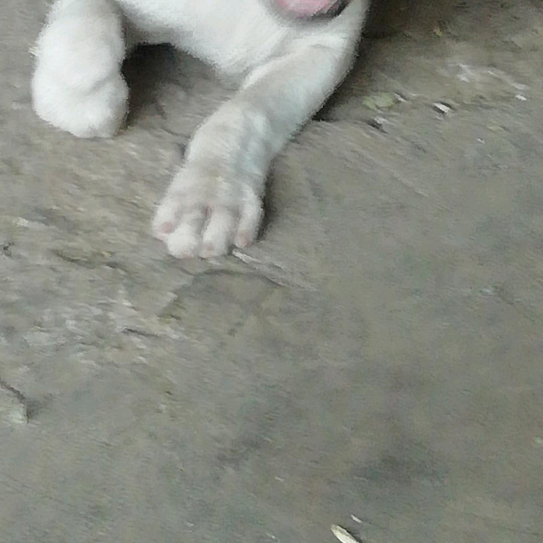 ／东3l厂v｛／陈孟丨’陈孟三’