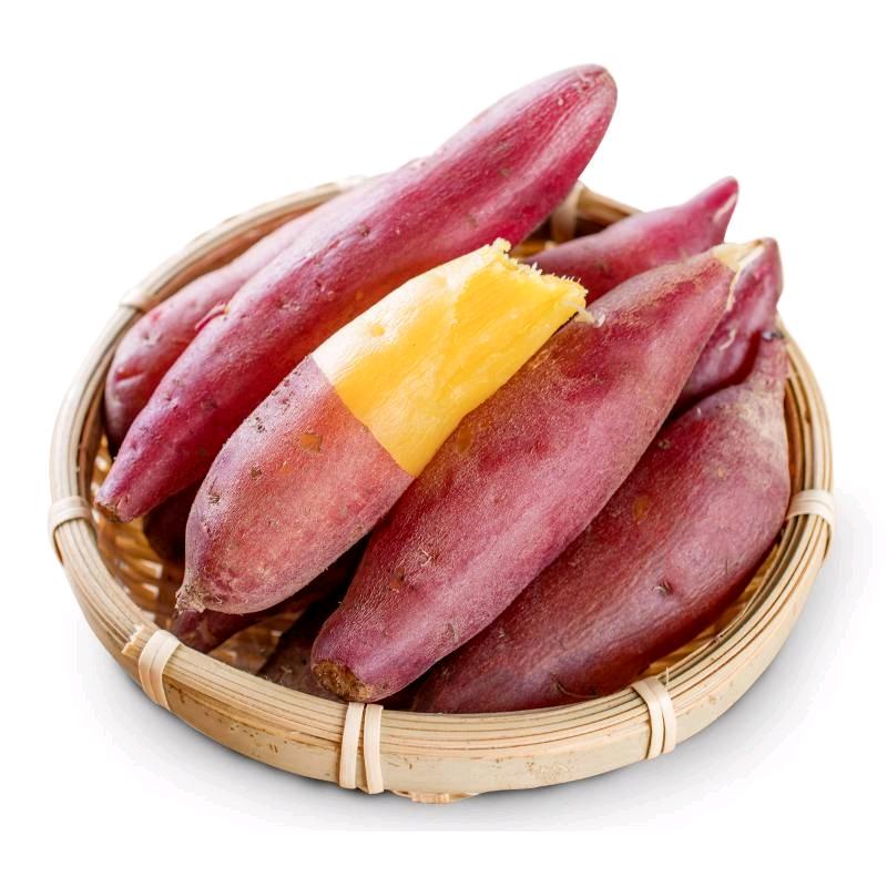 万亩良田丰收季