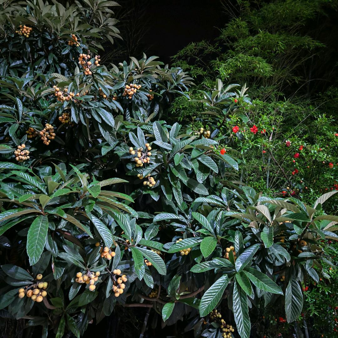 好品湾影音官方账号